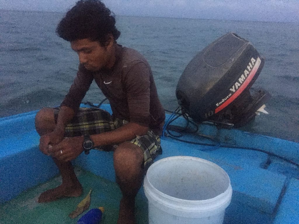 Pesca al atardecer
