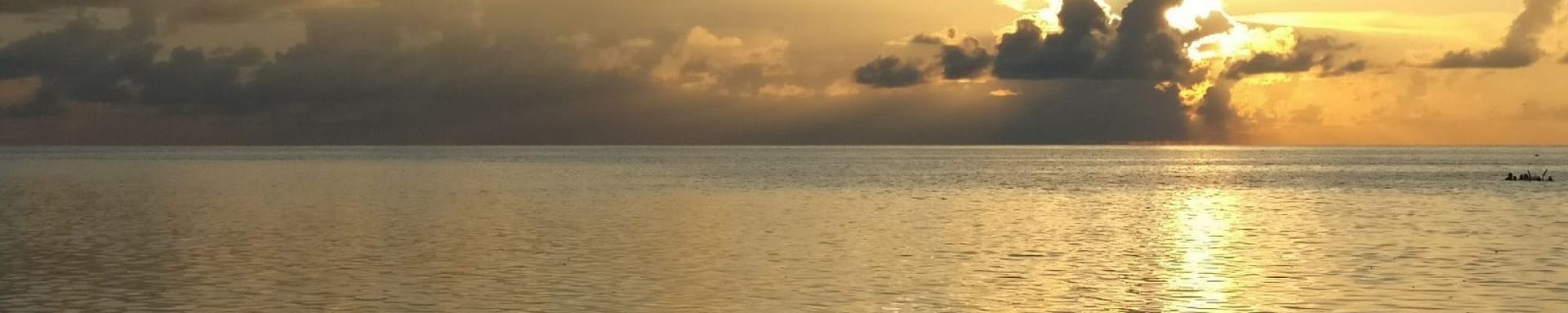 Atardecer con delfines
