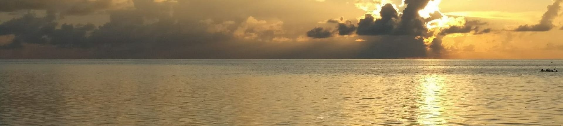 Atardecer con delfines